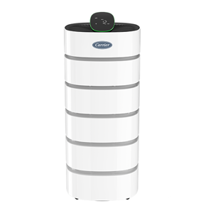 Air Cleaner