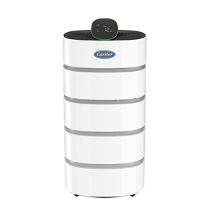 Air Cleaner