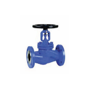 Globe Valve