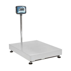 Platform Scale