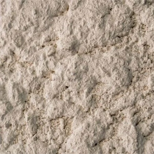 Coating Plaster
