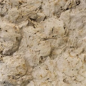 Coating Plaster