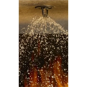 Firefighting System Installation & Maintenance Service