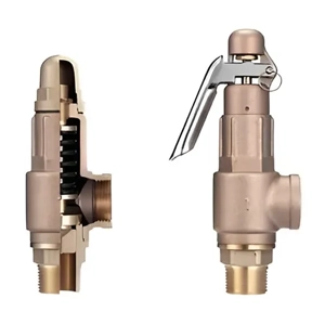 Safety Valve