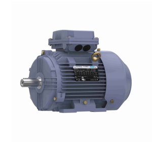 AC Inverter Motor
