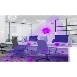 Comprehensive Sanitization Service