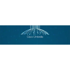 Cybersecurity Service