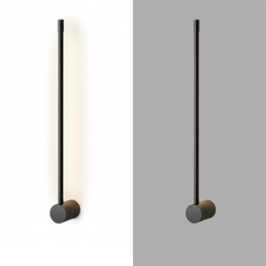 Wall Light Fixture
