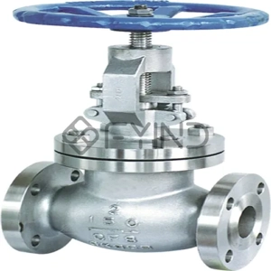 Globe Valve
