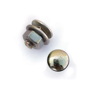 Carriage Bolt