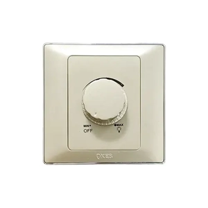 Electrical Switch