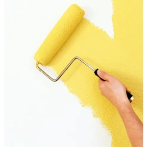 Paint