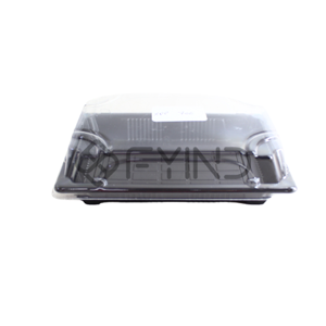Disposable Food Container