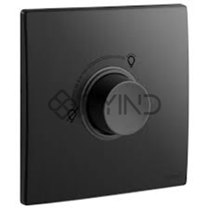 Electrical Switch