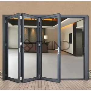 Folding Door