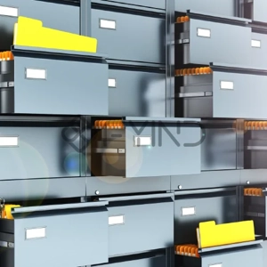 Information Technology Consultation Service