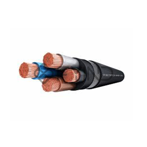Control Cable