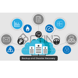 Information Technology Consultation Service