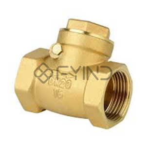 Check Valve