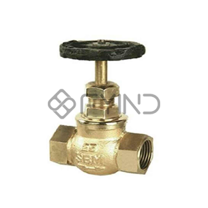 Globe Valve