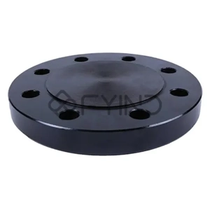 Pipe Flange