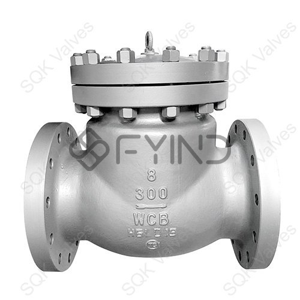 Check Valve