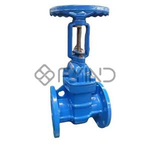 Gate Valve