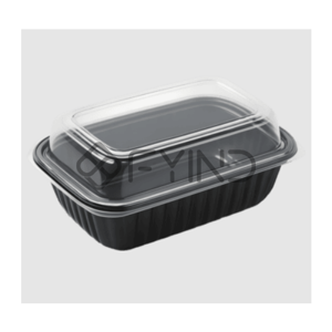 Disposable Food Container