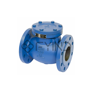 Check Valve