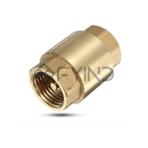 Check Valve