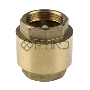 Check Valve