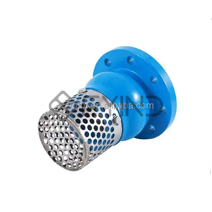 Foot Valve