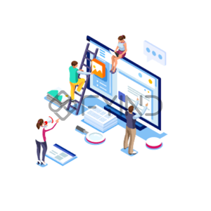 Website Development Service