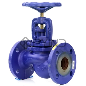 Globe Valve