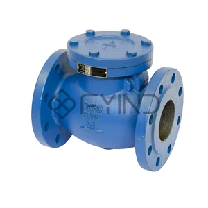 Check Valve