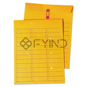 Standard Envelope