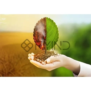 Environmental Impact Assessment Service