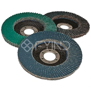 Abrasive Disc