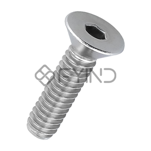 Socket Screw