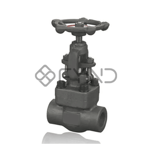 Globe Valve