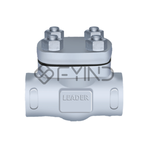 Check Valve