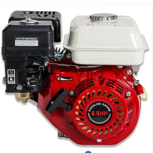 Gasoline Engine