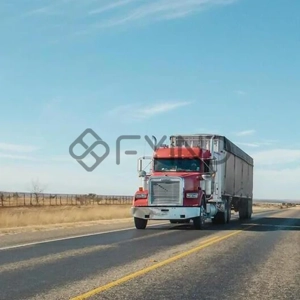 Freight Forwarders Service