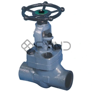 Globe Valve