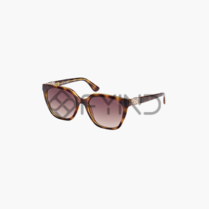 Sunglass
