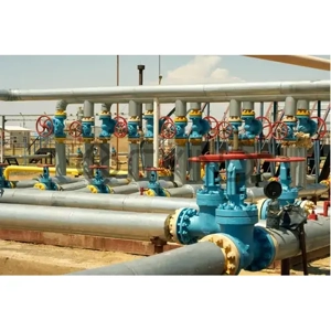 Valve Testing Repair or Maintenance Service