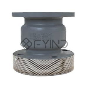 Foot Valve