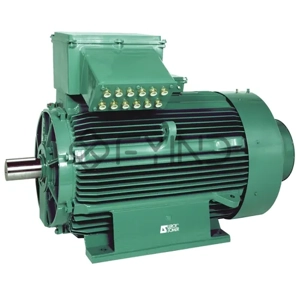 Hydraulic Motor