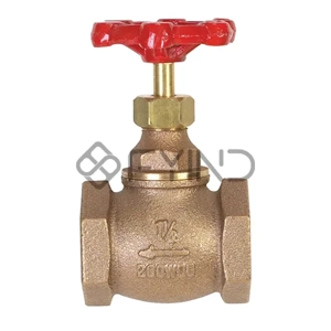 Globe Valve