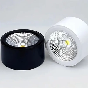 Flood Light